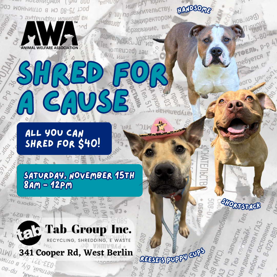 Shred for a Cause. All you can shred. 11/15