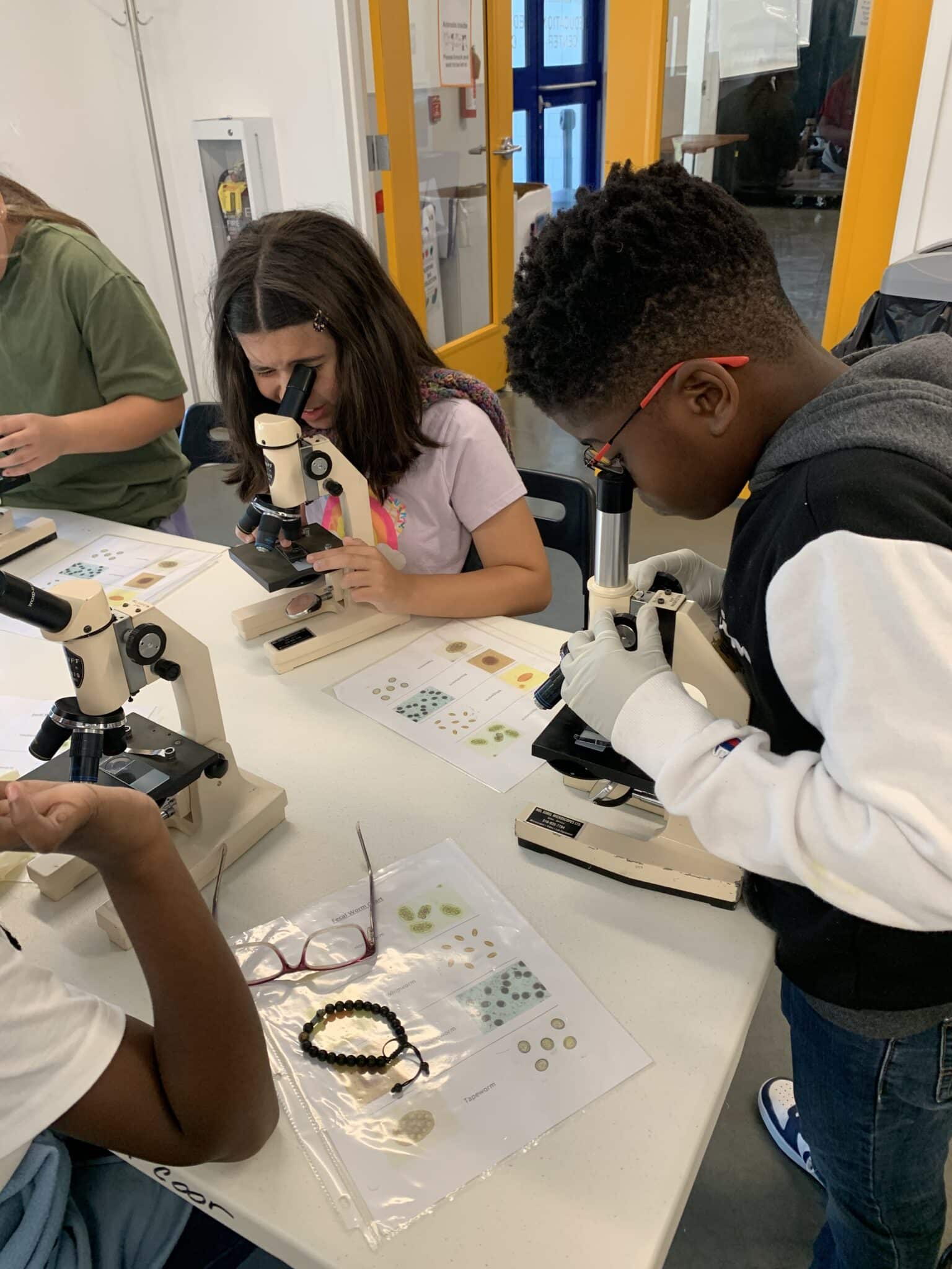STEM - Education