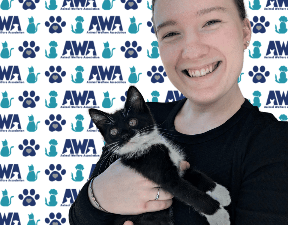 Gwen holding black and white cat