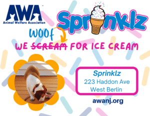 We Woof for Ice Cream. Sprinklz - 223 Haddon Ave, West Berlin