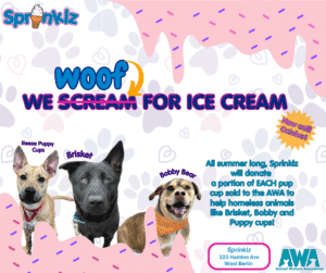 We WOOF for ice cream. Sprinklz fundraiser.