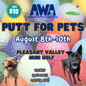 Putt for Pets, August 8-10. Pleasant Valley Mini Golf. $10. Water ice included.