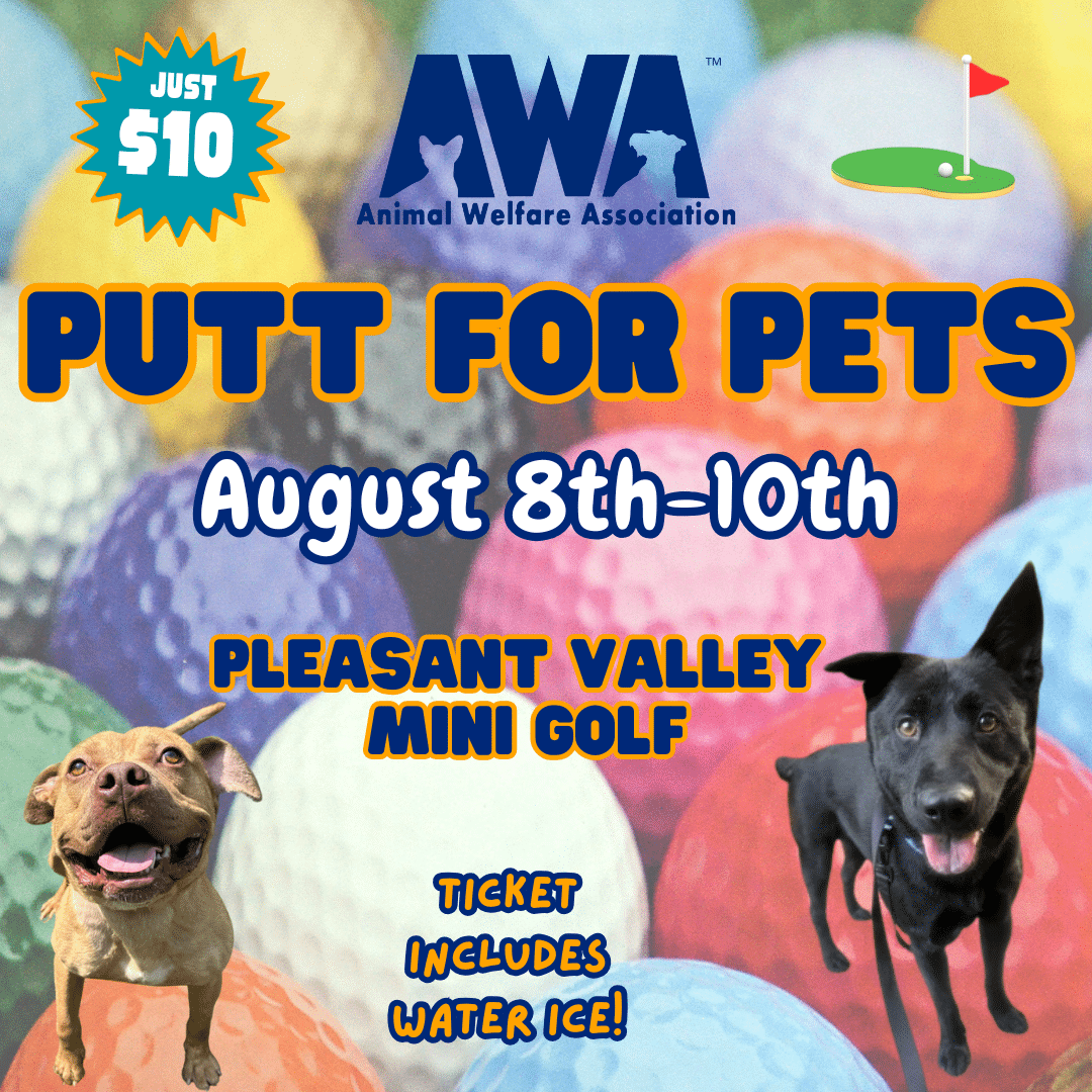 Putt for Pets, August 8-10. Pleasant Valley Mini Golf. $10. Water ice included.
