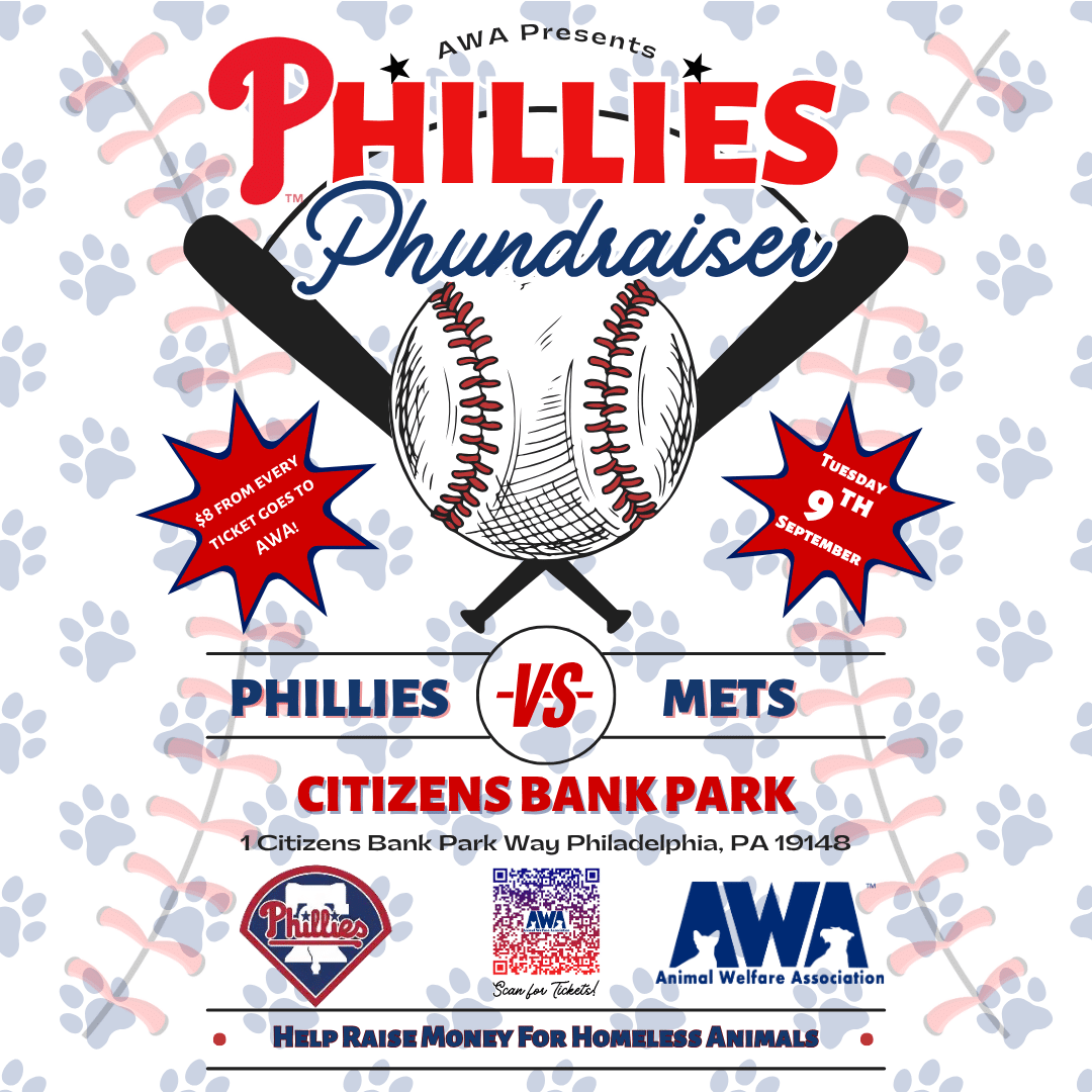 Phillies Phundraiser. Phillies vs. Mets. Citizens Bank Park. September 9th.