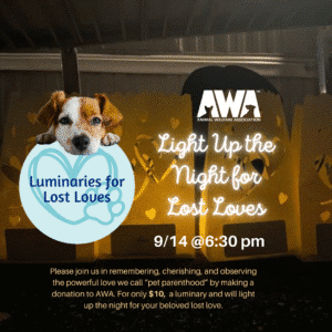 Light up the Night for Lost Loves