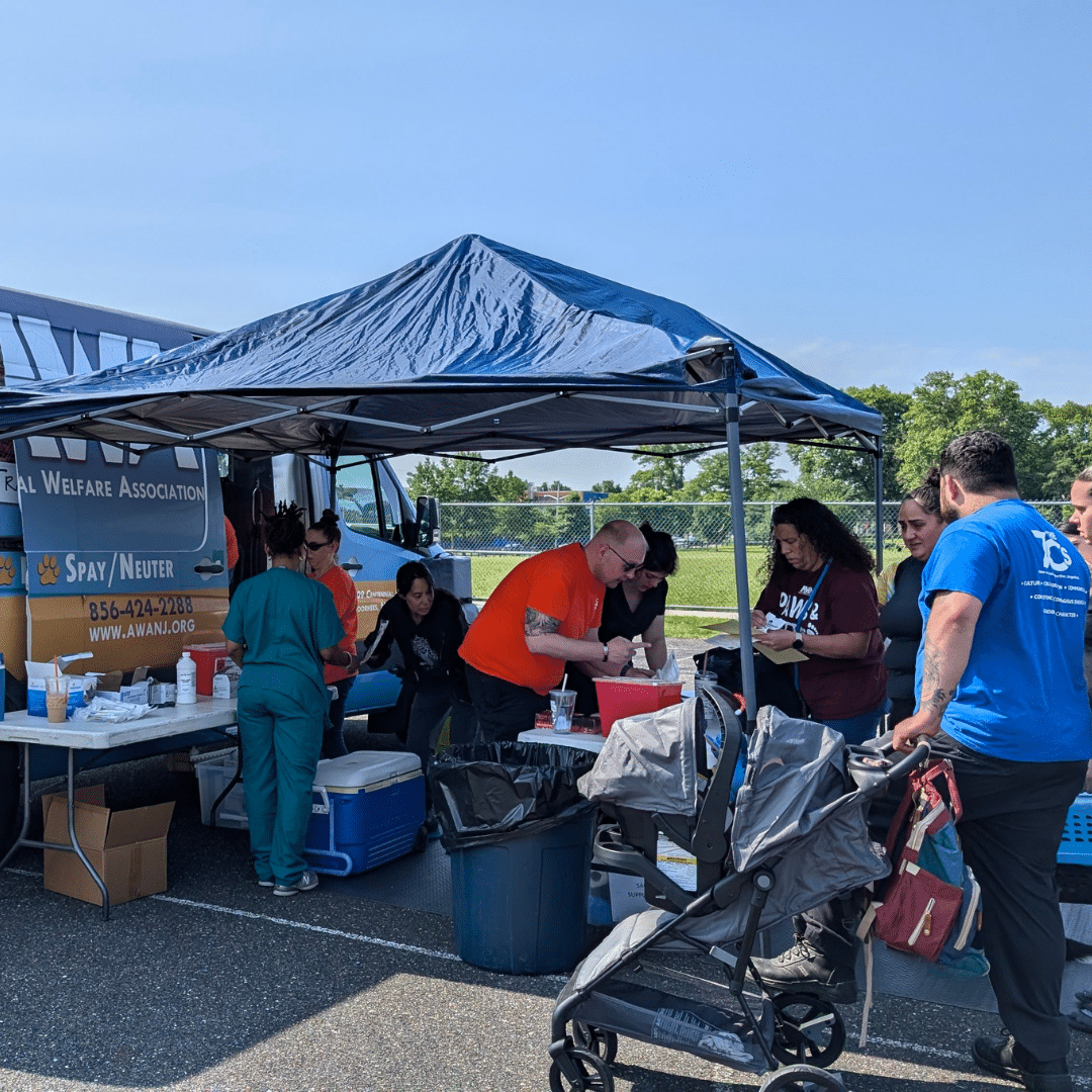 People receiving veterinary care for their pets from a mobile vet clinic.