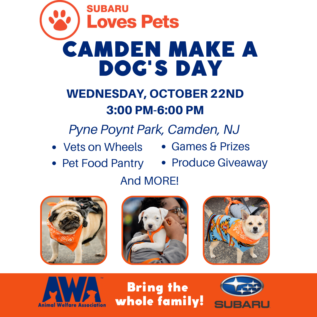 Camden Make a Dog's Day Wednesday 10/22 3pm-6pm at Pyne Poynt Park, Camden, NJ
