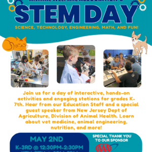 Stem day May 2nd