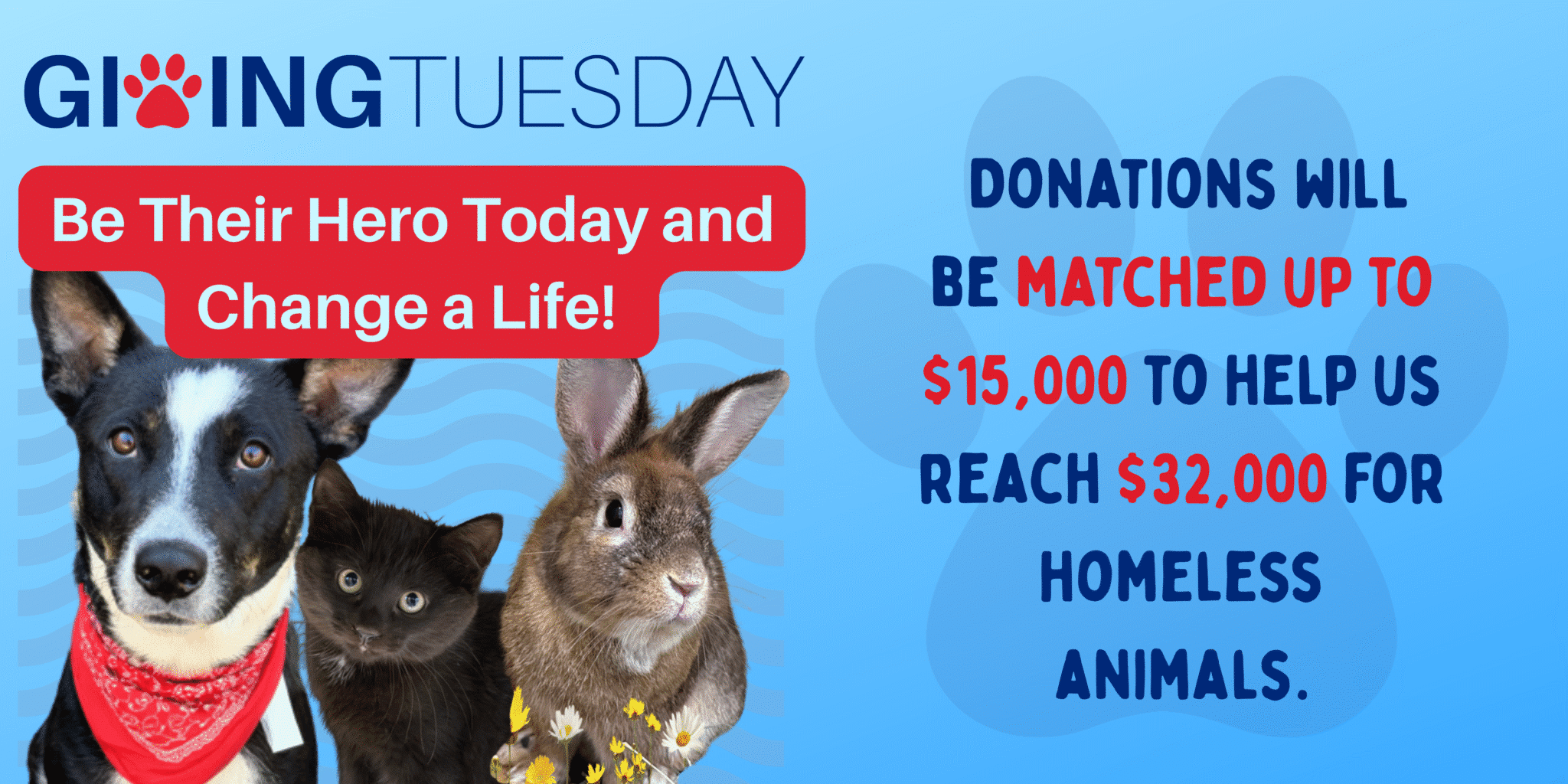 Black dog wearing a red bandana, black cat, and brown rabbit featured on AWA's Giving Tuesday 2025 banner.