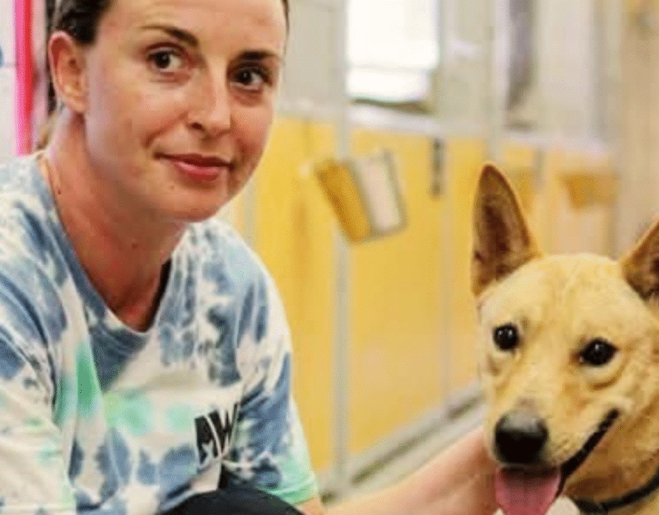 Caucasian woman with light brown hair, wearing a tie-dye tshirt, kneeling next to a tan dog with upright ears.