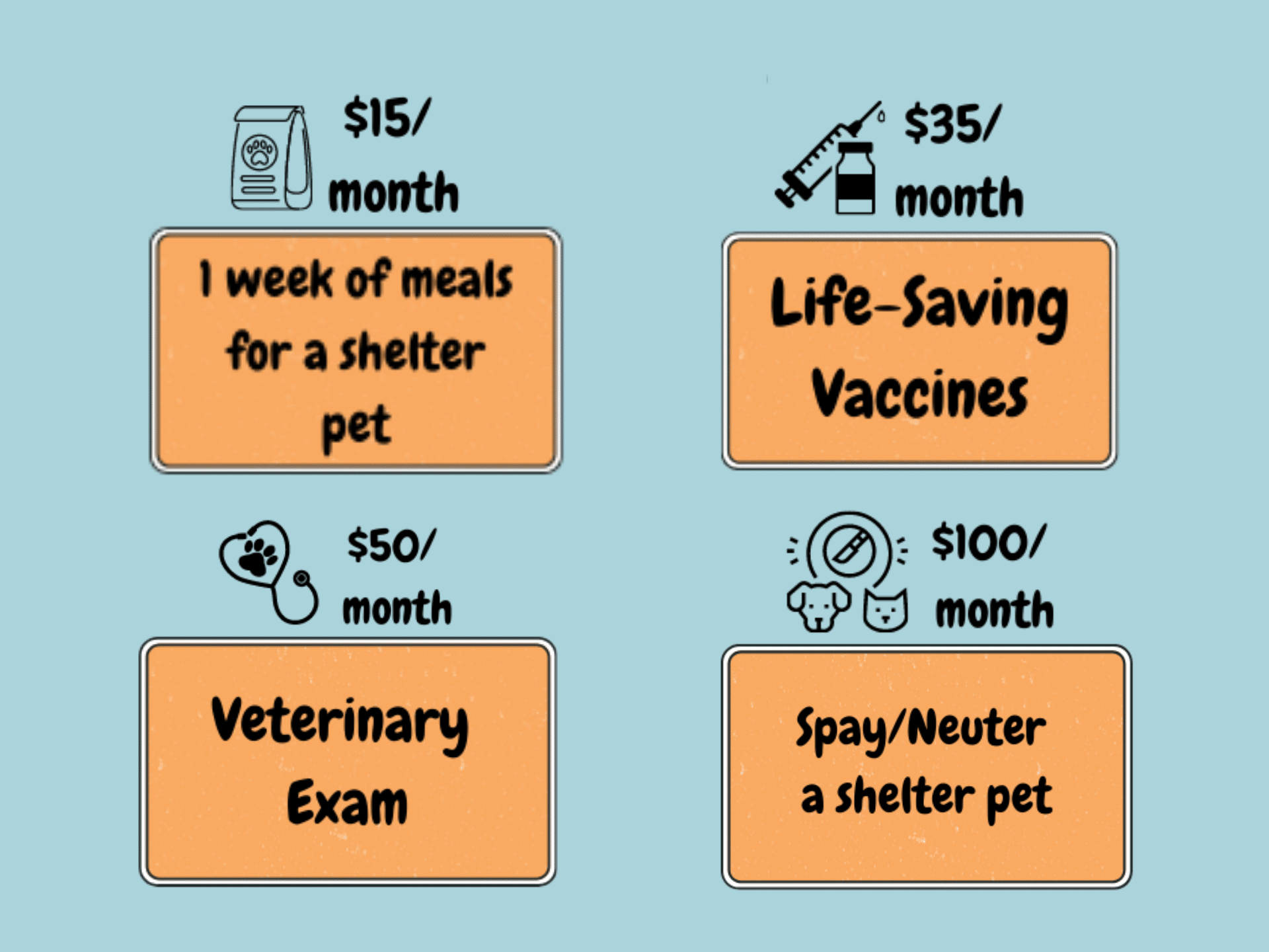 Four donation options displayed in beige boxes on a blue background, each representing a different way to support Animal Welfare Association.