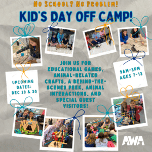 Kid's Day Off Camp December 29 & 30