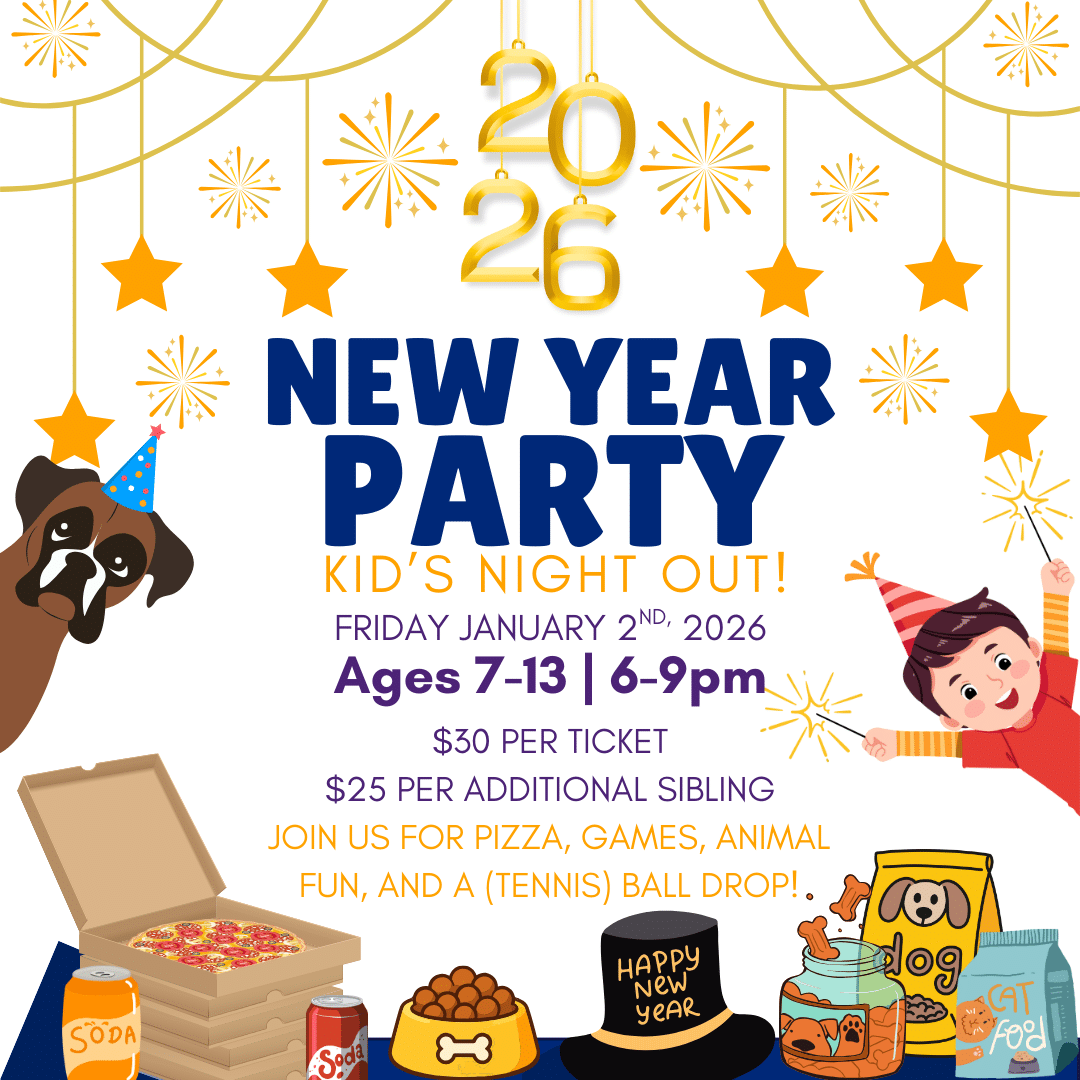 New Year Party January 2 6-9pm