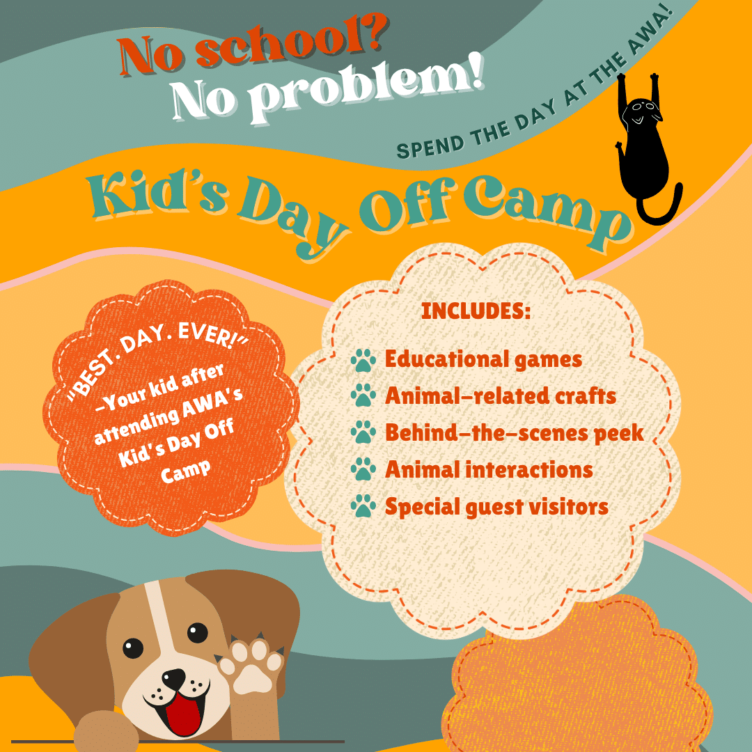 No School? No Problem! Spend the day at the AWA