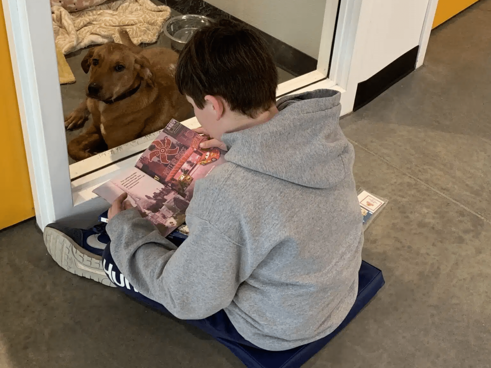 Child reading to dog at Animal Welfare Association Tales with Tails event.