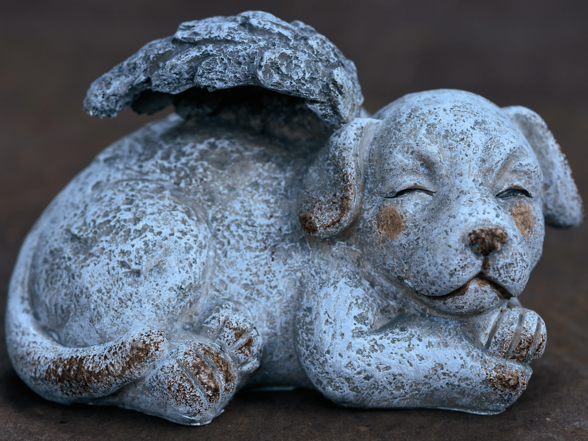 A small cement sculpture of a puppy with angel wings, serving as a memorial.