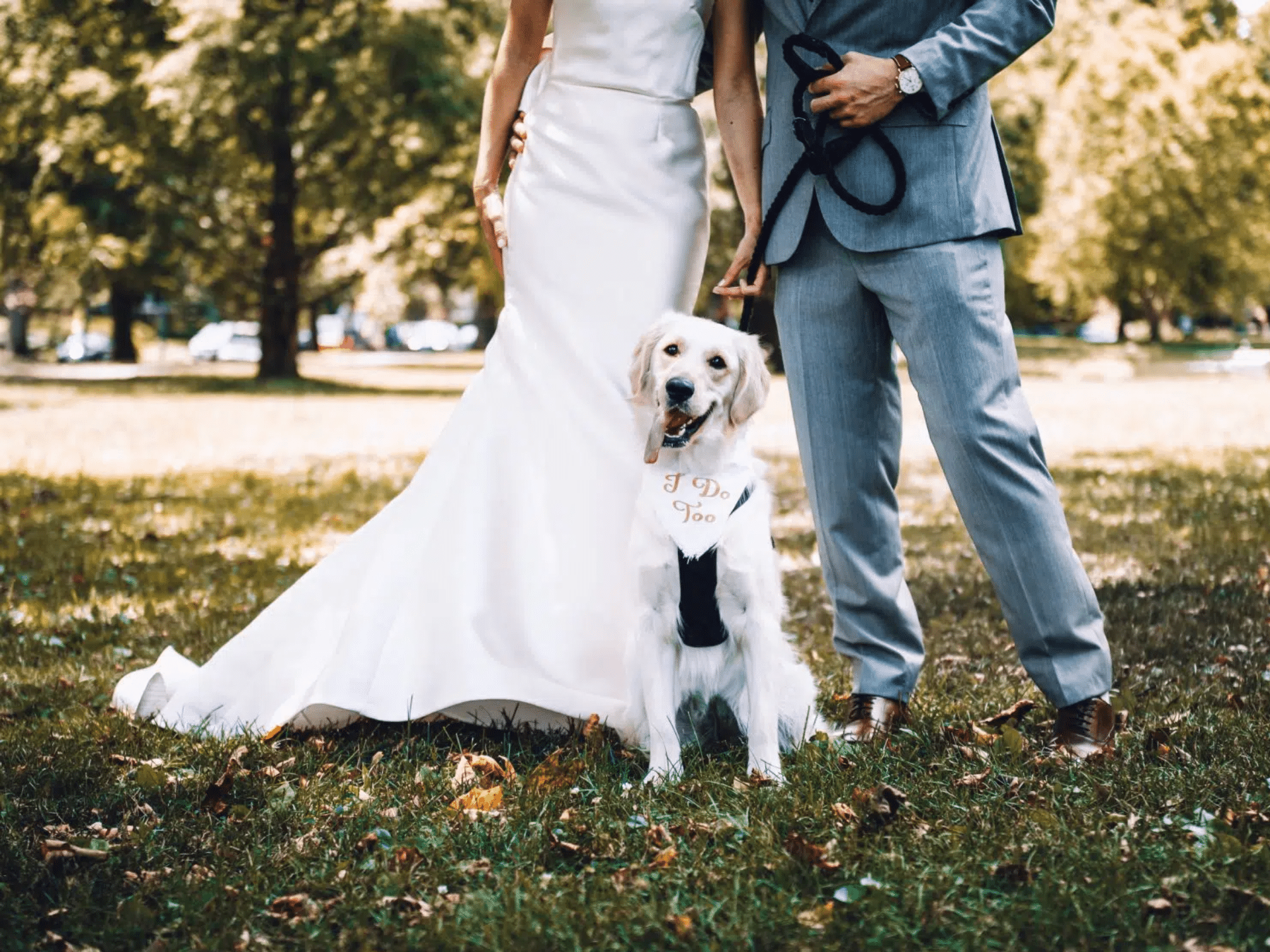 Bride and groom cropped below the shoulders stand beside a cream-colored dog on a leash, wearing a bandana that says ‘I do too.