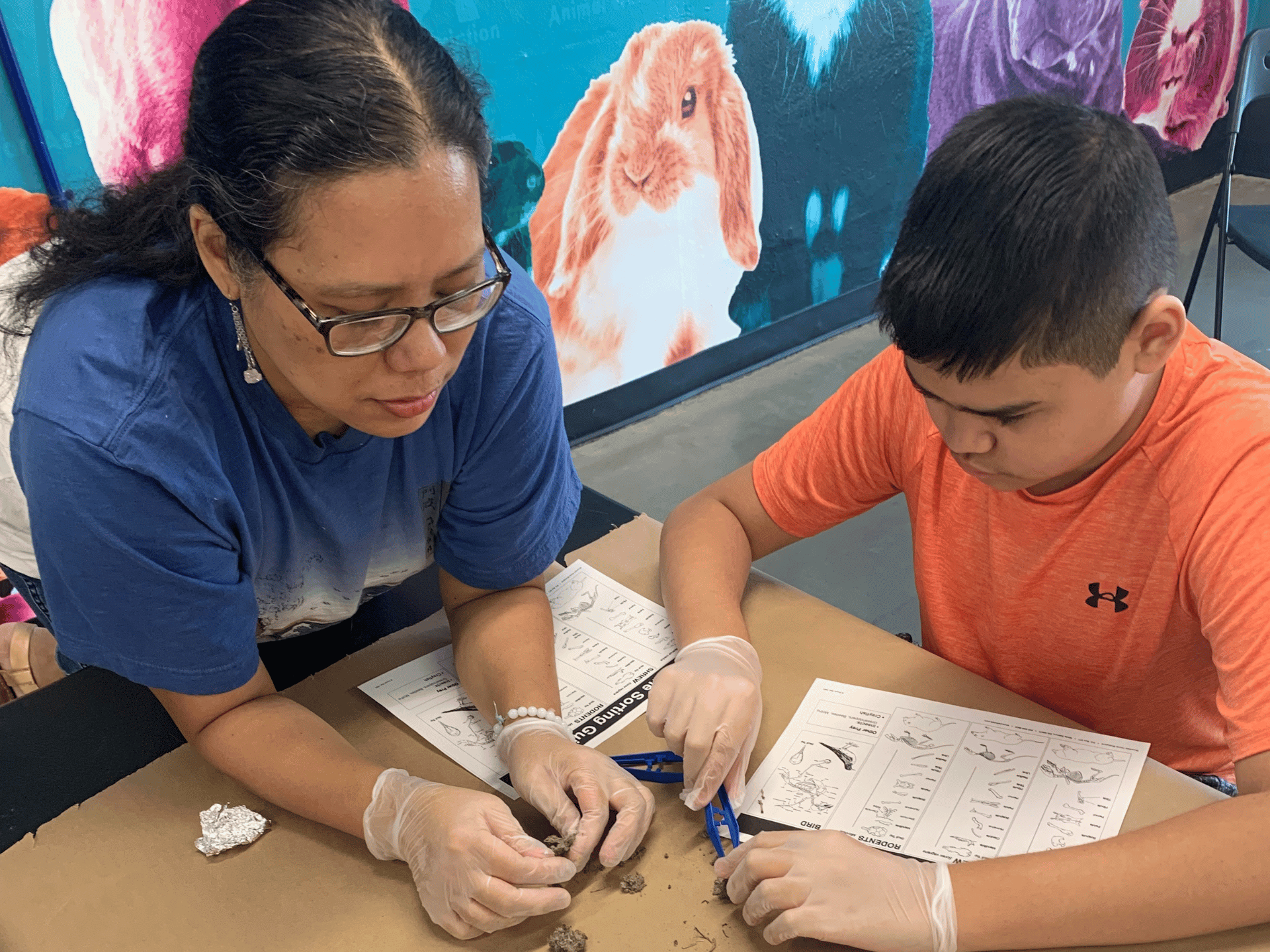 A Hispanic girl wearing a blue shirt and boy wearing an orange shirt inspecting a brown object and comparing it to drawings on a piece of paper.