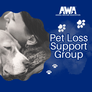 Pet Loss Support Group