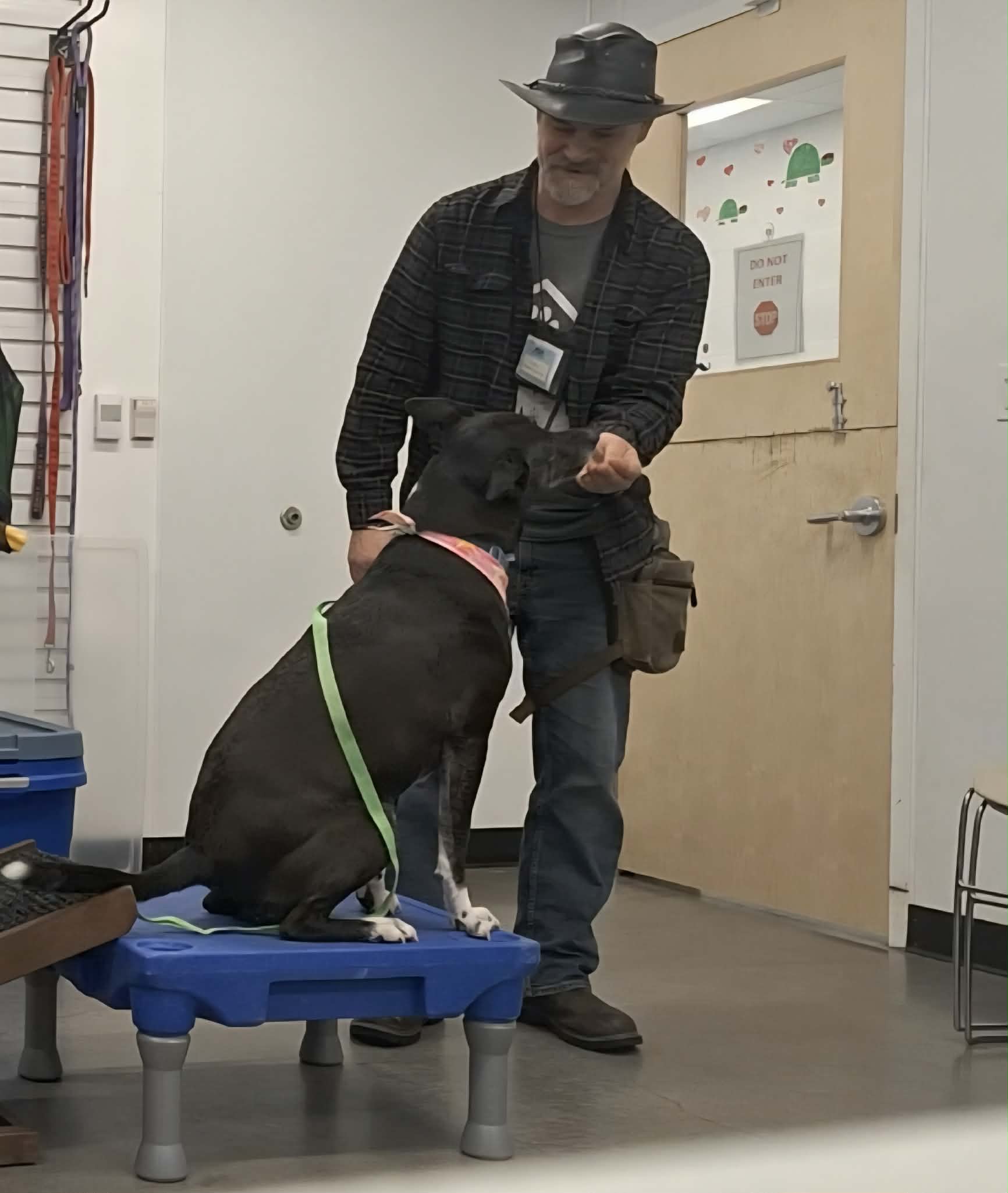 caucasian man in a wide-brimmed hat, offering treats to a dog sitting on a training platform