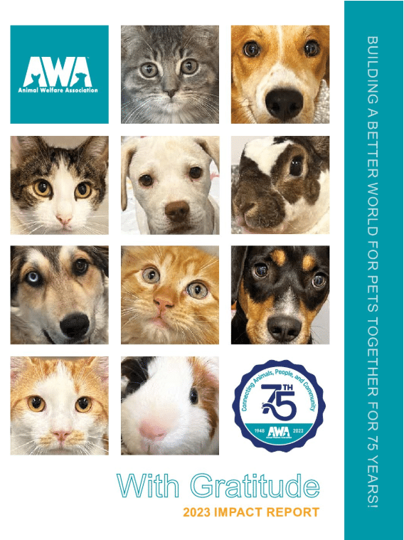 2023 Impact Report Cover