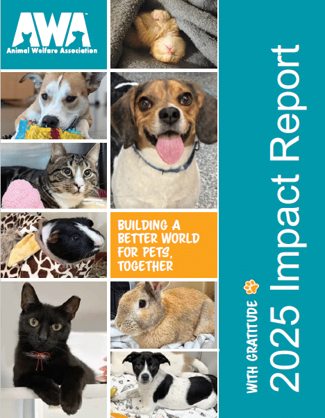 2025 Impact Report Cover