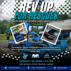 Rev Up for Rescues, Sunday April 26th 2-5 pm