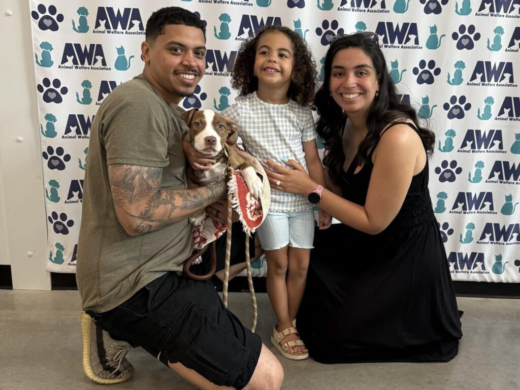 young hispanic family holding a brown and white puppy.