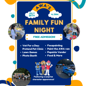Family Fun Night