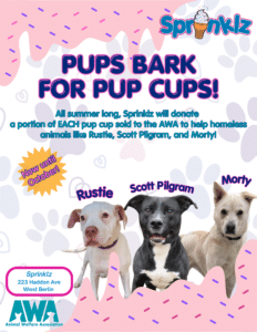 Pups Bark for Pup Cups at Sprinklz
