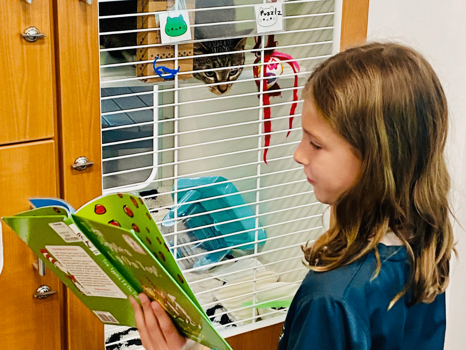 Young caucasian girl reading a green book to a cat.