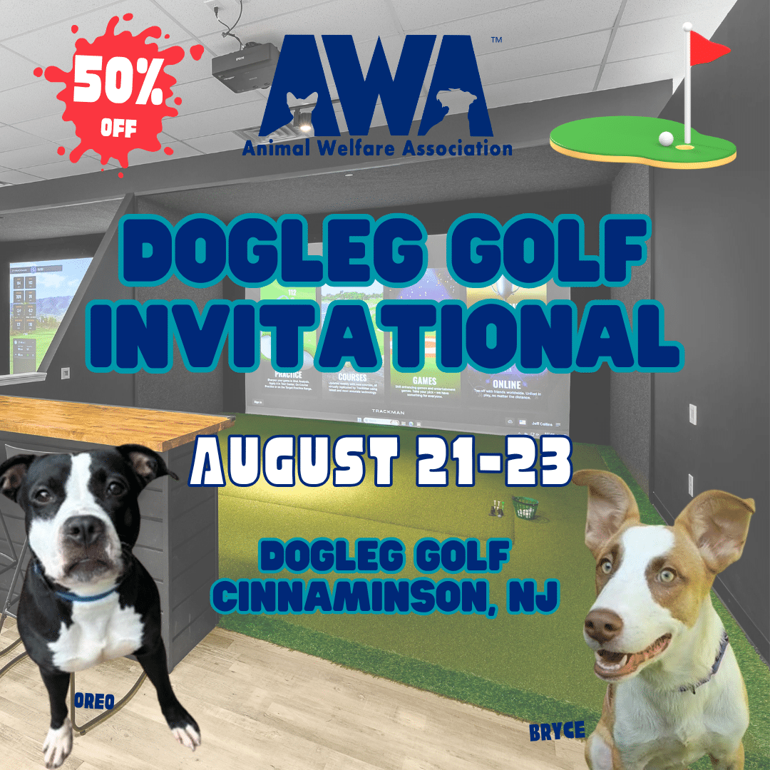 Dogleg Golf Invitational. August 21-23