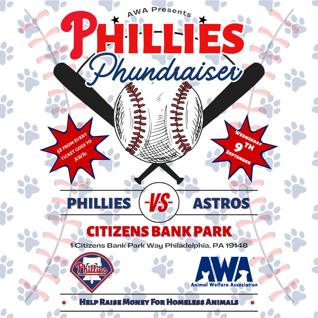 Phillies Phundraiser