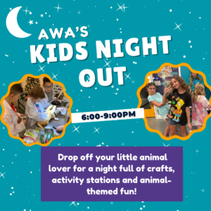 Kid's Night Out flyer