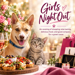 Girls Night Out flyer