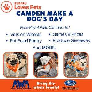 Camden Make a Dog's Day