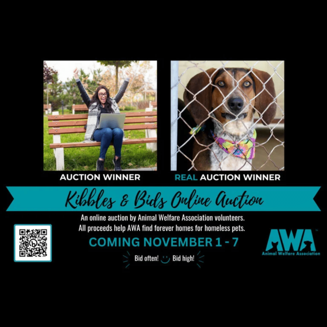 Kibbles & Bids Online Auction Coming November 1-7