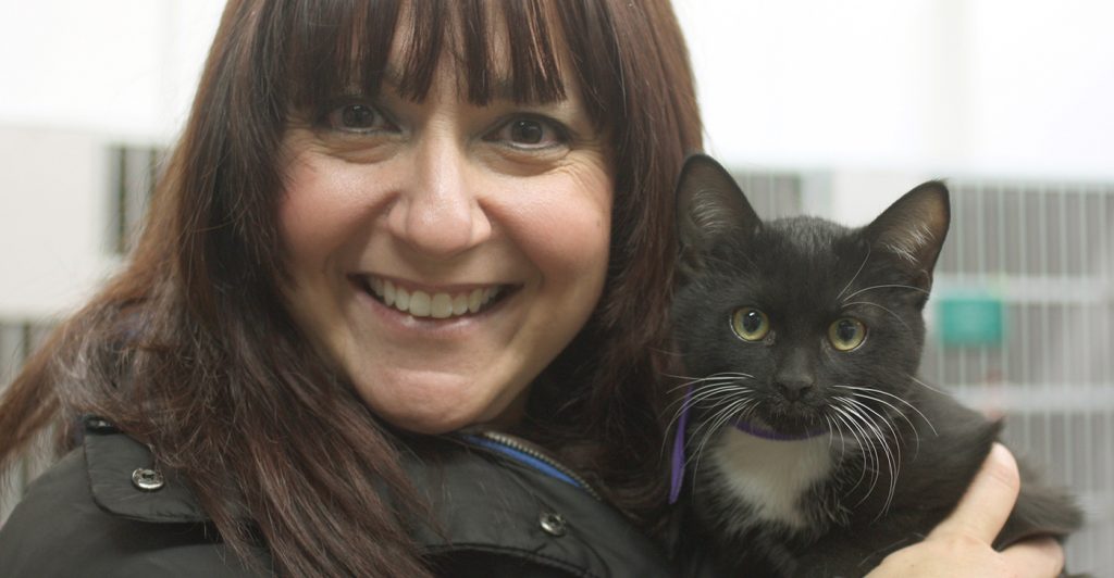 Adopt a Cat Animal Welfare Association of NJ