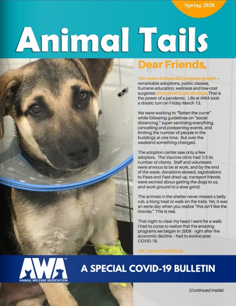 awa adoption awa adoption