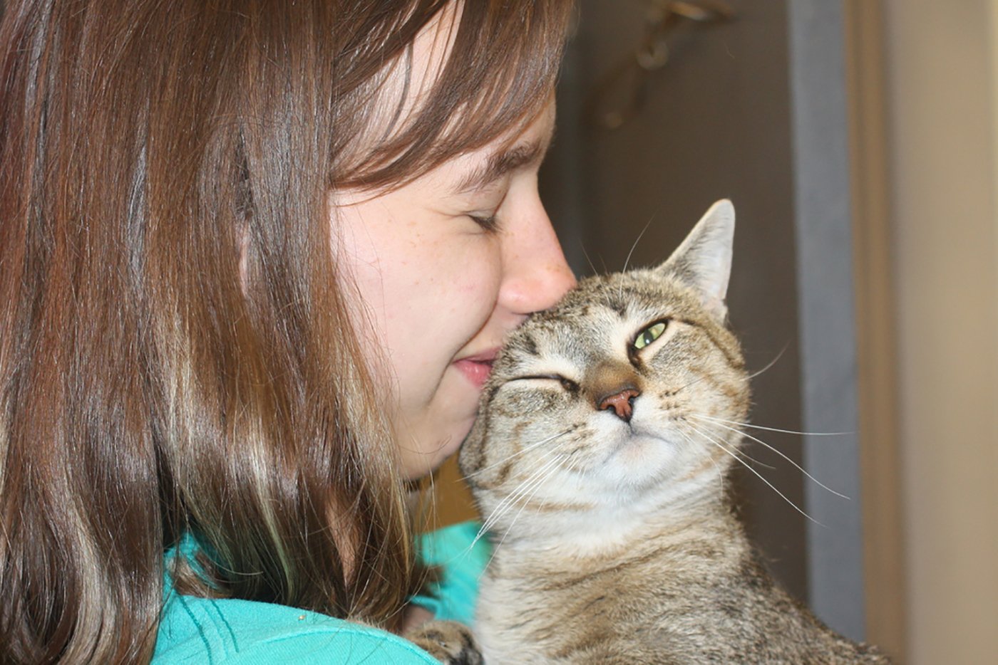 awa adoption awa adoption
