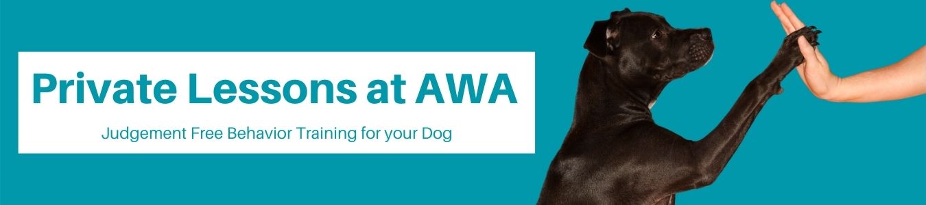 awa adoption awa adoption