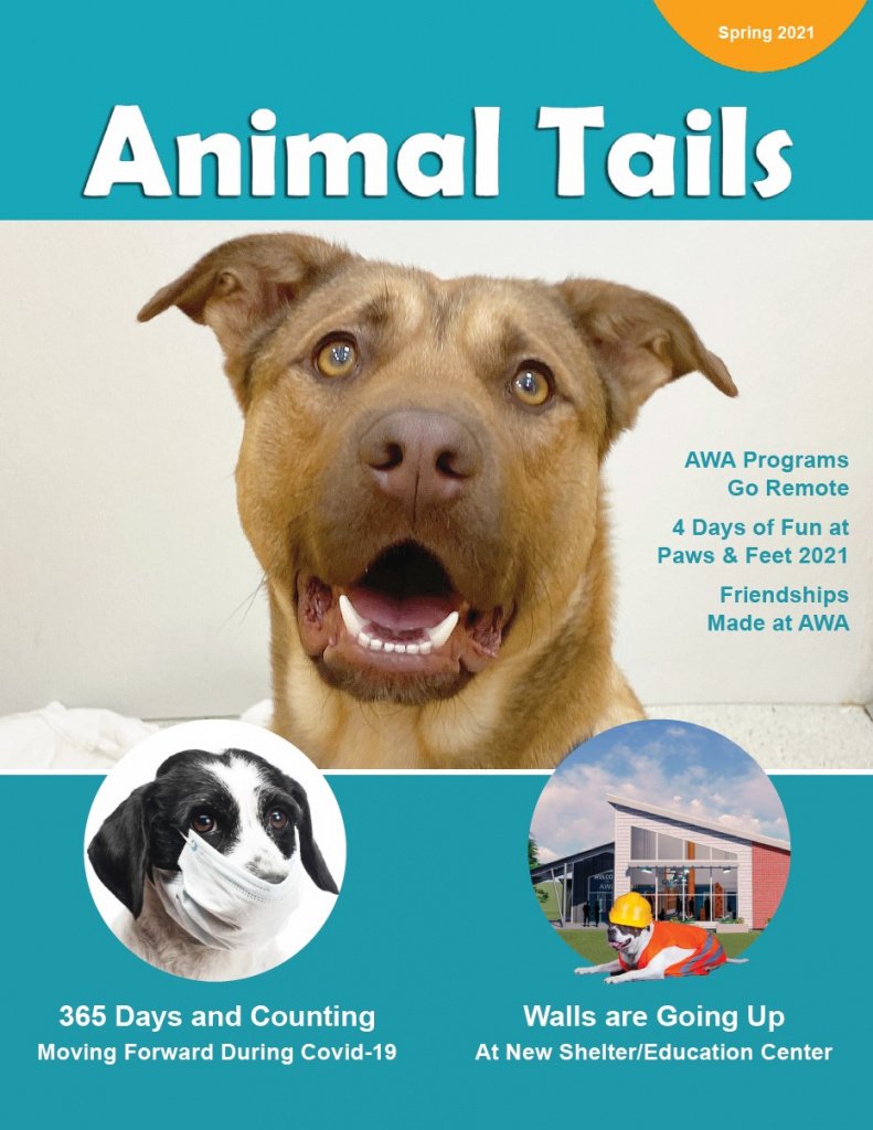 awa adoption awa adoption