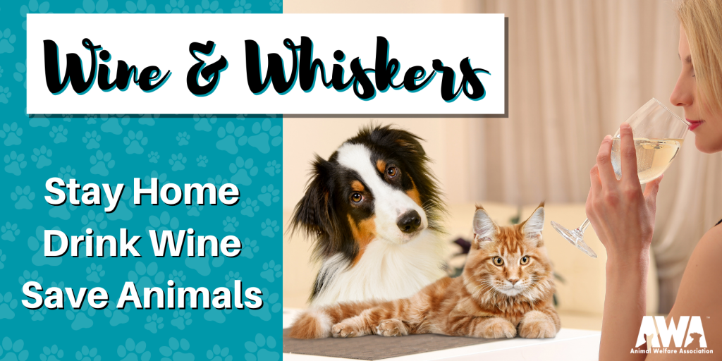 Home Animal Welfare Association Of Nj