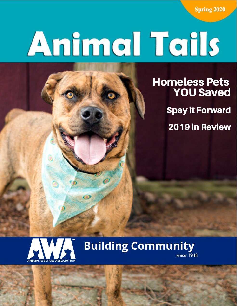 awa nj adopt awa nj adopt